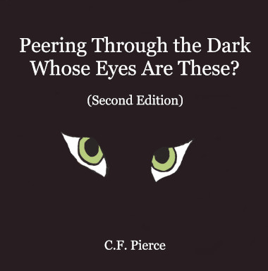 Book Cover "Peering Through the Dark Whose Eyes Are These?"