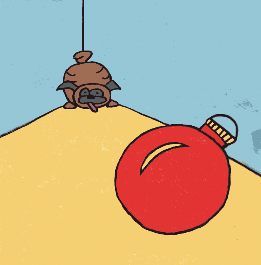 Pugsley plays with a Christmas ball ornament.