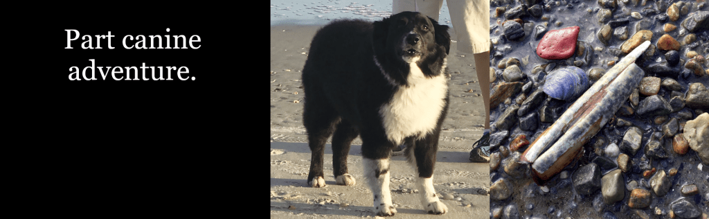 Part canine adventure.