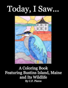Front Cover "Today, I Saw" coloring book
