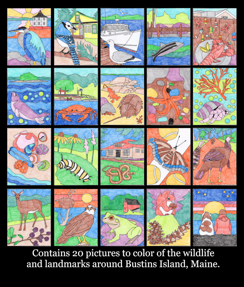 Back cover featuring all 20 pictures contained in the coloring book.