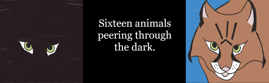 Sixteen animals, like this bobcat, peering through the dark.
