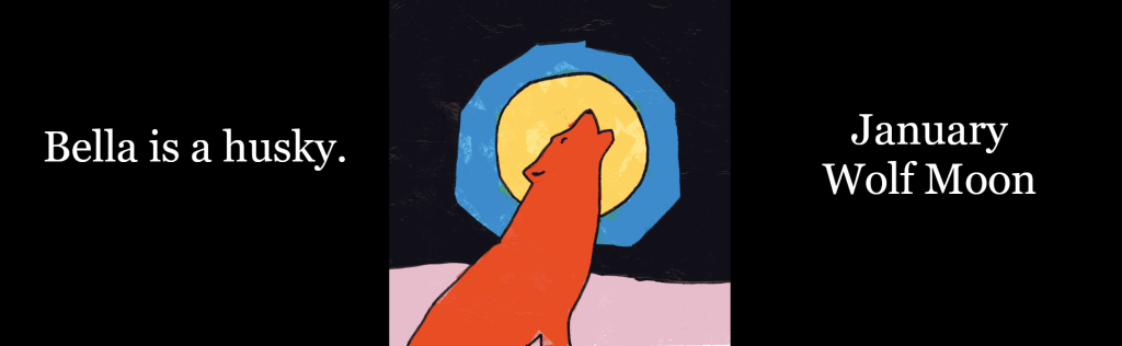 Bella is a husky. She howls at January's Wolf Moon.