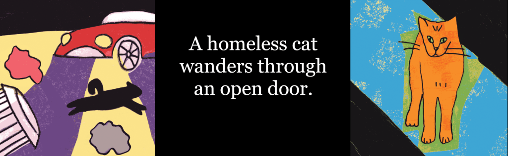 A homeless cat wanders through an open door.