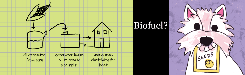 Will they use biofuel?
