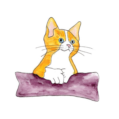 An orange and white kitten sits on a purple cushion
