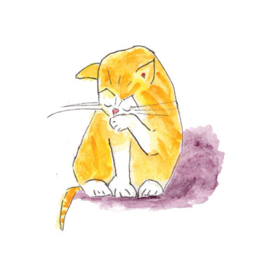 Orange and white kitten dries his eyes after crying